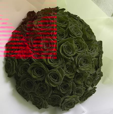 Rosas