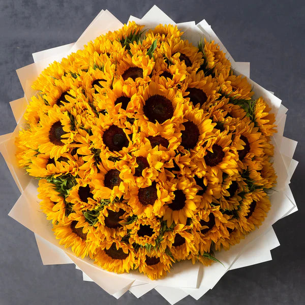 Girasoles