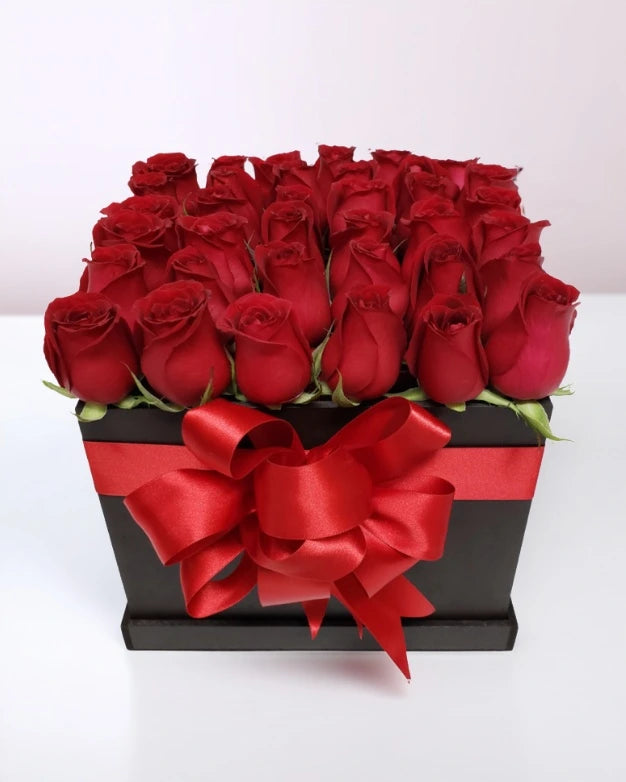 Belleza de Rosas