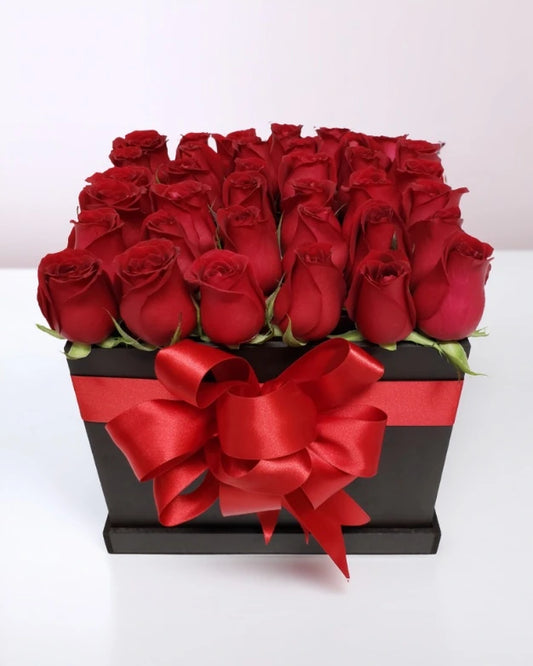 Belleza de Rosas